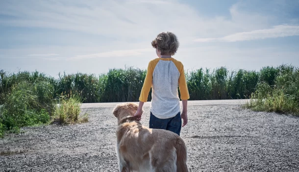 Para amantes de livros: suspense baseado em obra de Stephen King está na Netflix
