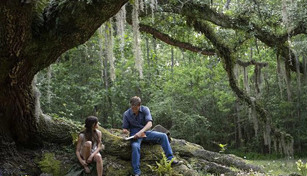 Um Lugar Bem Longe Daqui