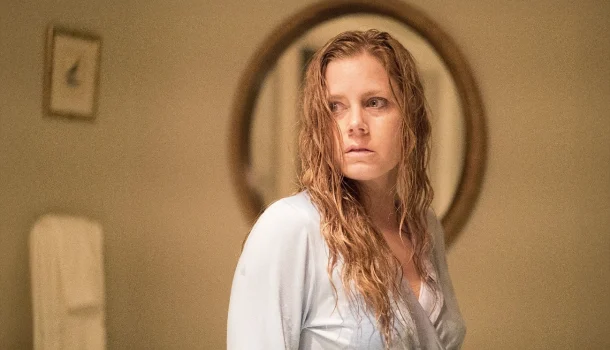 Thriller com Amy Adams e Gary Oldman inspirado no estilo de Hitchcock, na Netflix