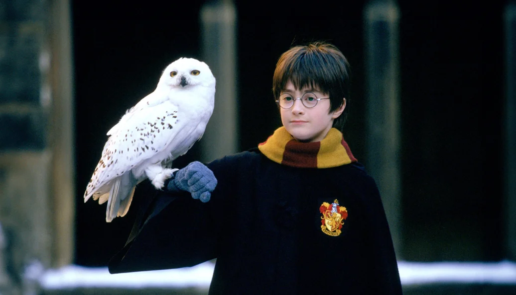 Harry Potter e a Pedra Filosofal