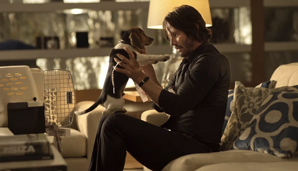 John Wick — De Volta ao Jogo (2014), Chad Stahelski