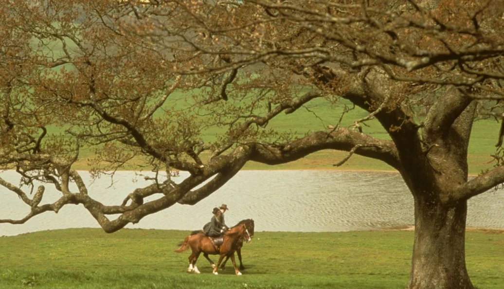 Razao e Sensibilidade