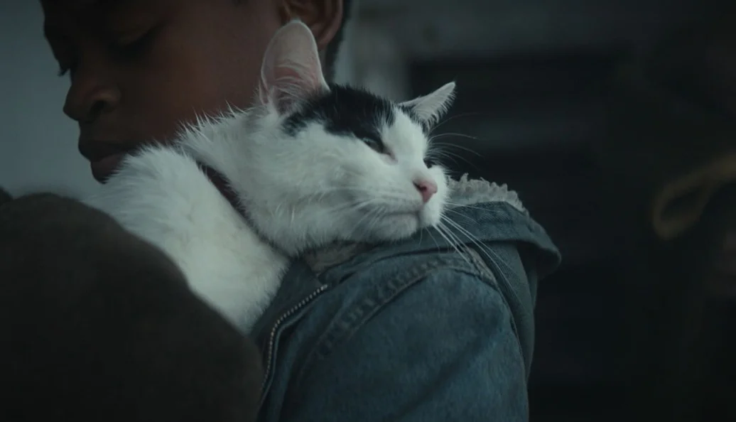 Um Lugar Silencioso: Dia Um