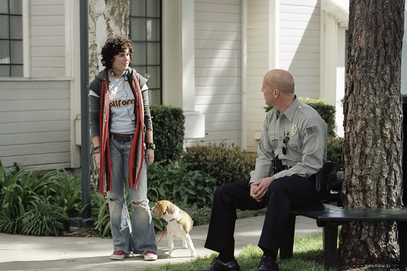 4 estreias na Netflix que vão fazer você querer ficar em casa no fim de semana