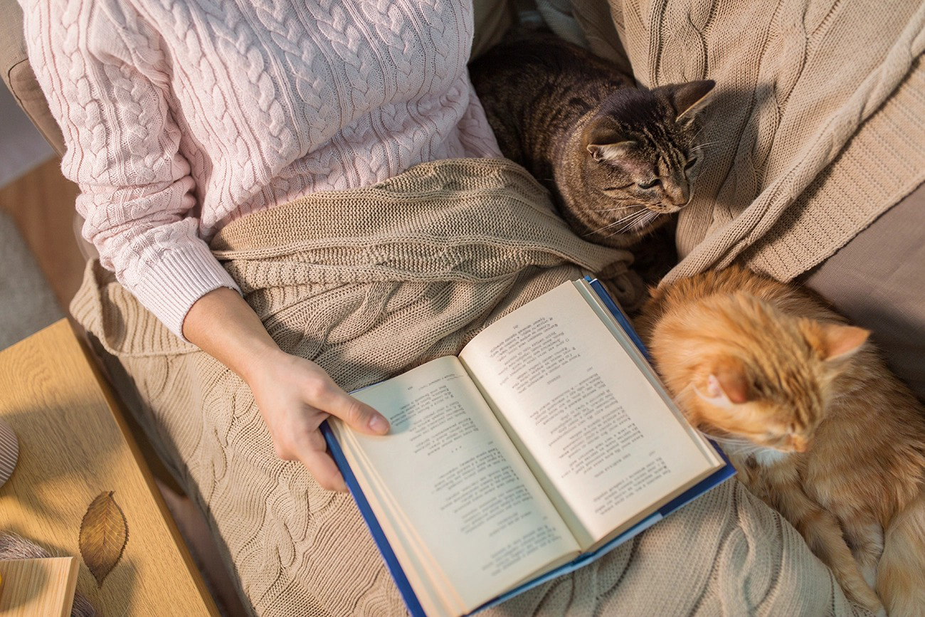 5 livros escritos por mulheres que parecem compreender você melhor do que sua terapeuta