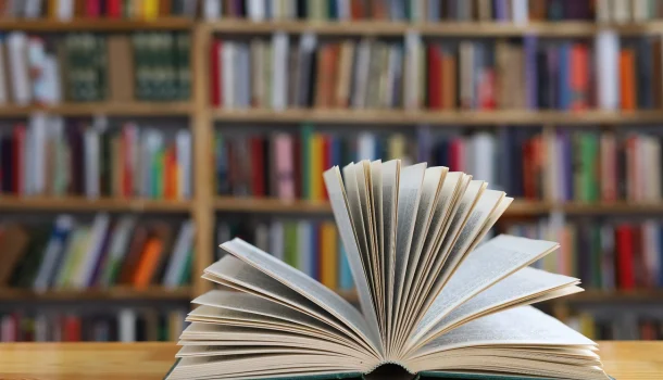 Os 25 romances ganhadores do Prêmio Pulitzer no século 21