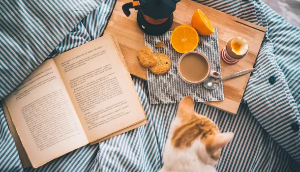 7 romances que fogem dos clichês para aquecer o coração