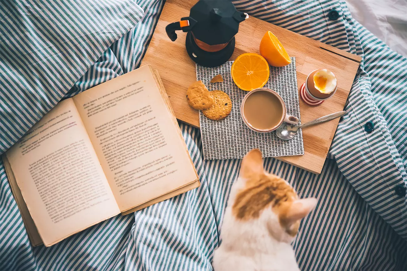 7 romances que fogem dos clichês para aquecer o coração