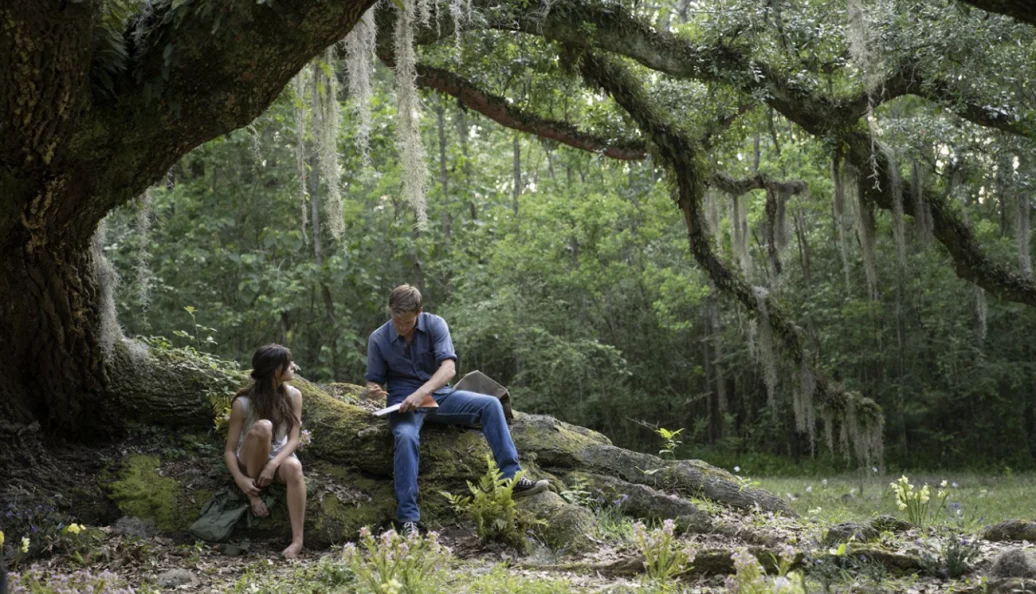 Um Lugar Bem Longe Daqui