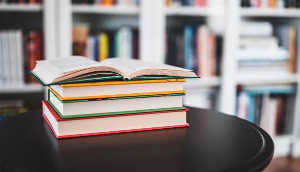 6 livros que viraram decoração oficial de home-office em 2025
