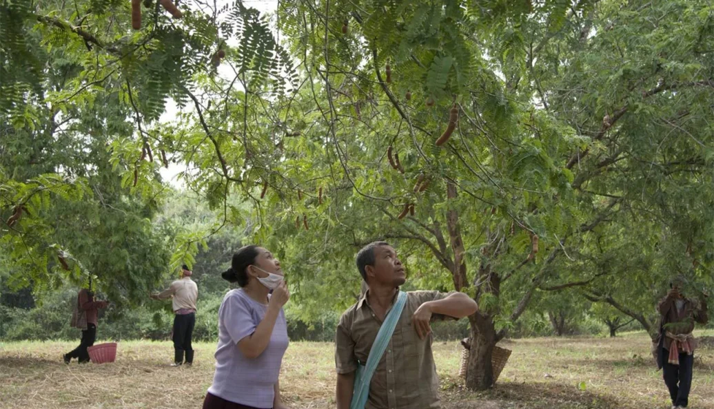 Tio Boonmee Que Pode Recordar Suas Vidas Passadas