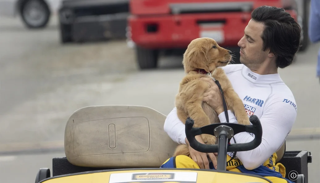 A Arte de Correr na Chuva