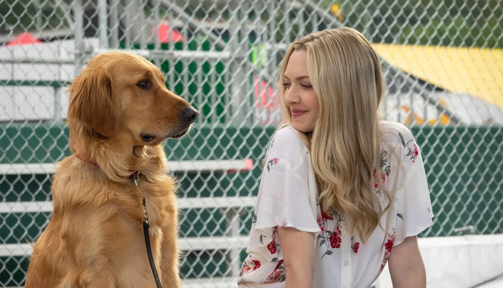 A Arte de Correr na Chuva