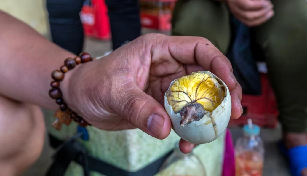 Balut