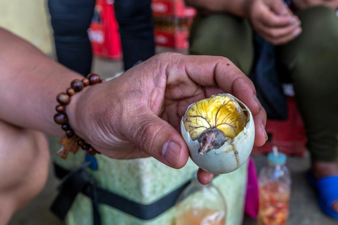 Balut