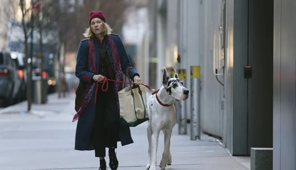 Novo drama com Naomi Watts, no Prime Video, vai partir seu coração de forma silenciosa Novo drama com Naomi Watts, no Prime Video, vai partir seu coração de forma silenciosa