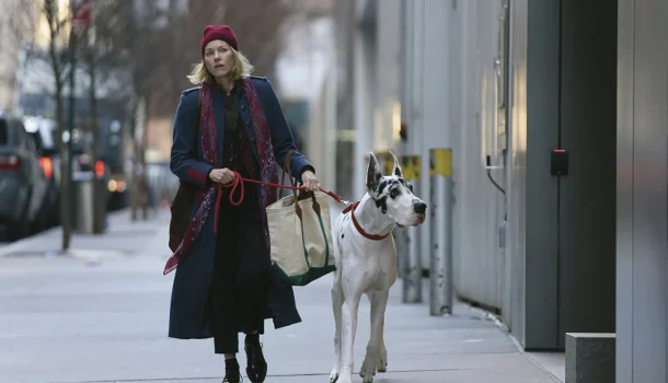 Um filme no Prime Video sobre recomeços e afetos que permanecem — para renovar o ânimo e abraçar a vida Um filme no Prime Video sobre recomeços e afetos que permanecem — para renovar o ânimo e abraçar a vida