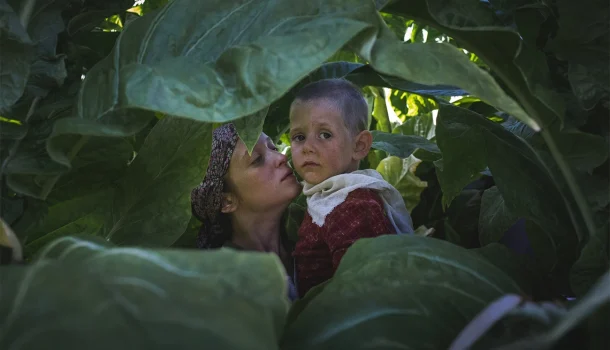 Filme italiano na Netflix nos lembra do que tentamos esquecer: o bem ainda existe Filme italiano na Netflix nos lembra do que tentamos esquecer: o bem ainda existe