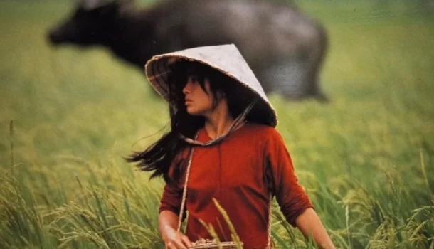 Obra-prima de Oliver Stone é um dos melhores e mais subestimados filmes de guerra de todos os tempos e está no Prime Video