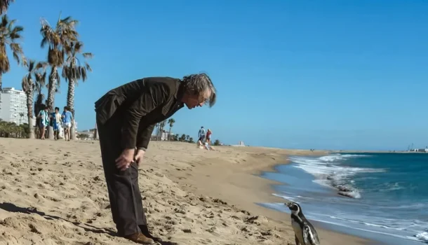 Uma lição de vida inesquecível que vai te abraçar como um cobertor quentinho no inverno, no Prime Video