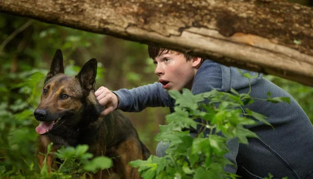 O filme que acabou de entrar na Netflix e vai te dar um banho de vida