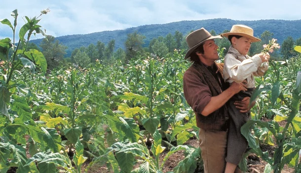 Drama épico com Richard Gere e Jodie Foster, inspirado em clássico do cinema francês, está no Prime Video