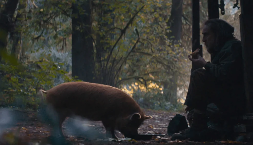 Pig A Vingança