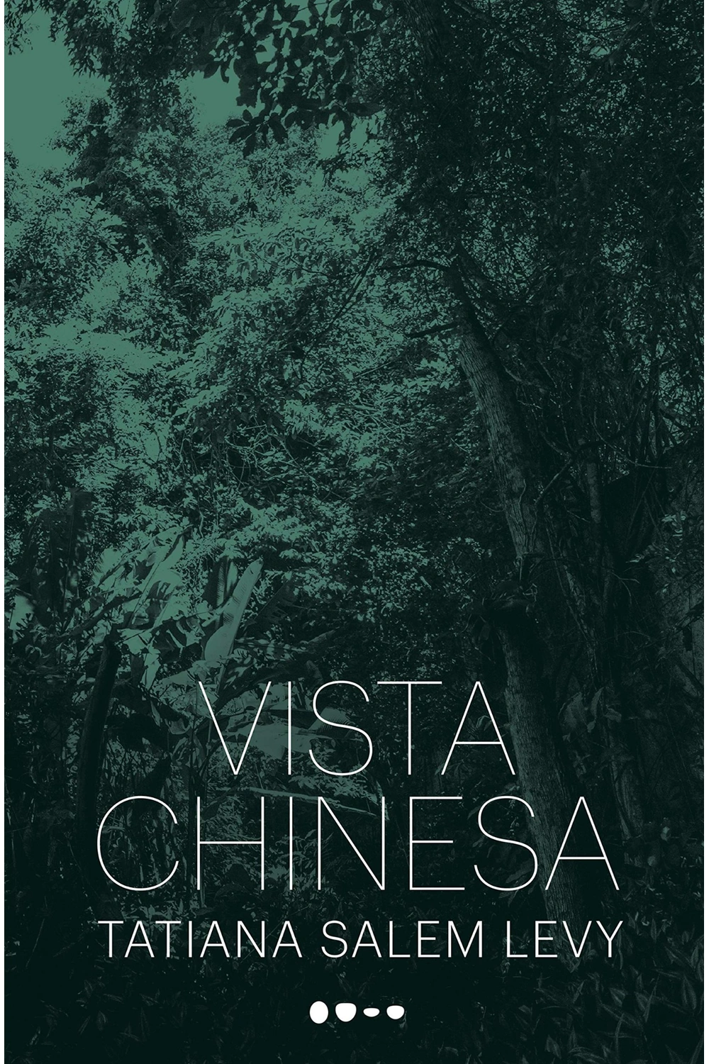 Capa de Vista Chinesa, de Tatiana Salem Levy