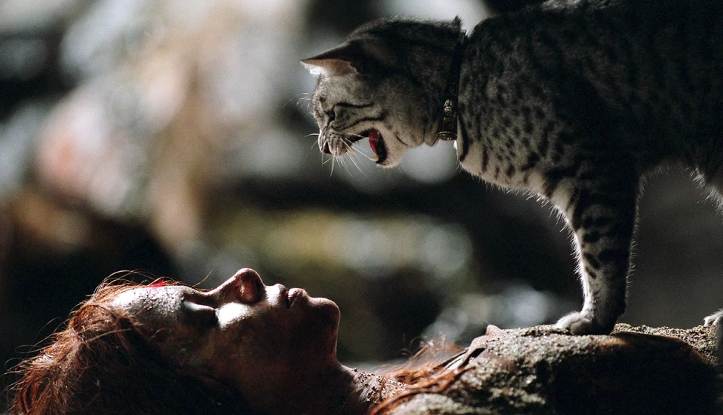 Mulher-Gato