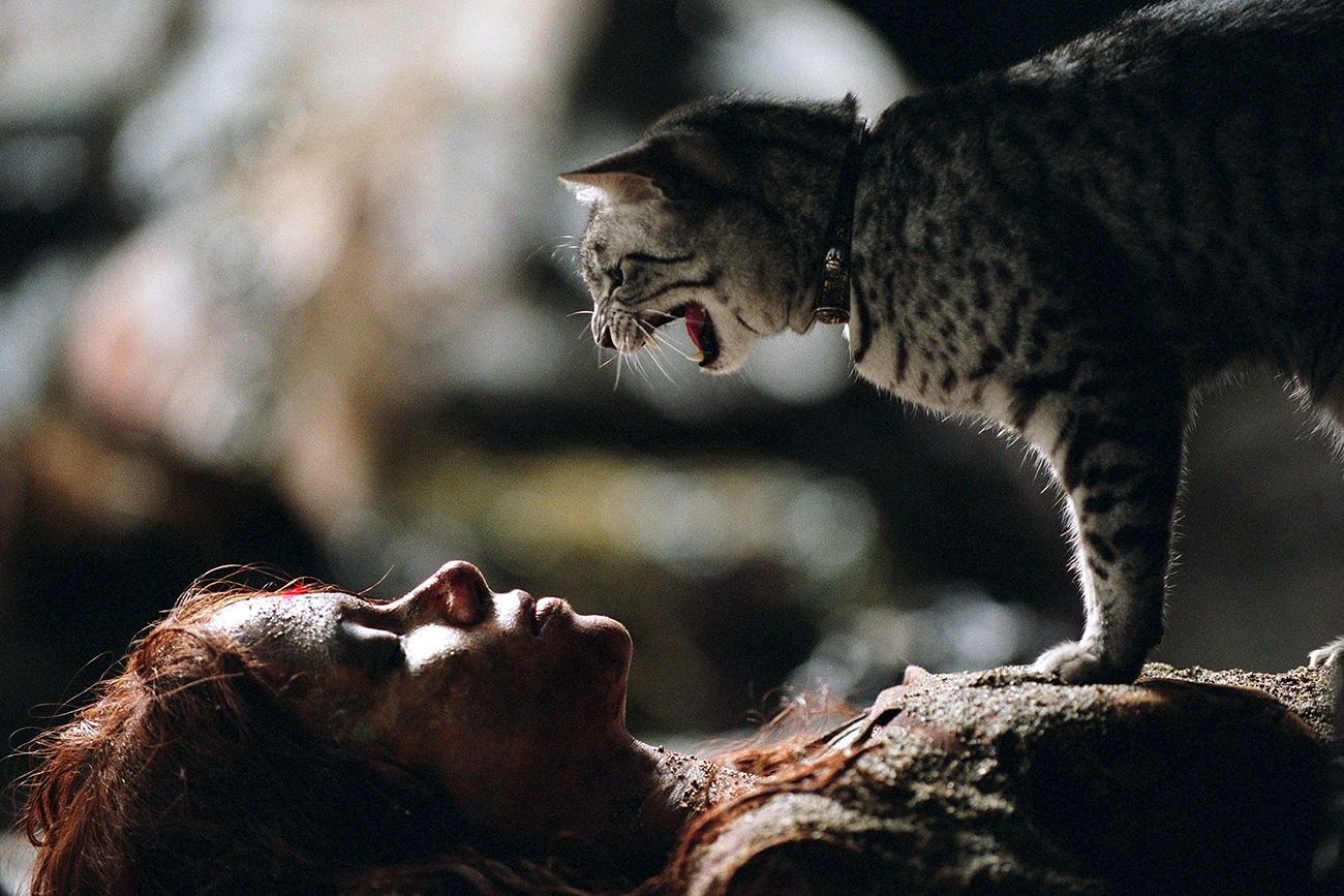 Mulher-Gato