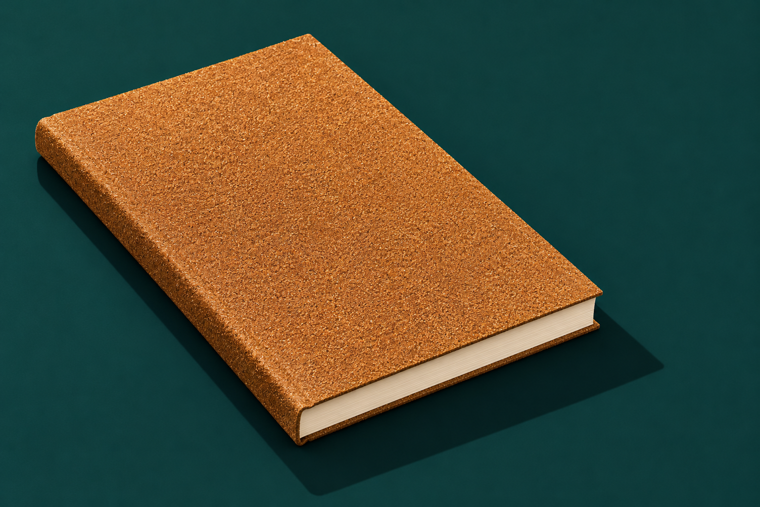 Ilustração de um livro fechado revestido de lixa, com páginas claras, sobre fundo verde-petróleo.